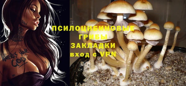 гашиш Аркадак