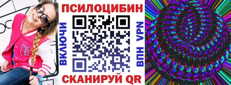 Псилоцибиновые грибы мицелий  наркошоп  Майкоп 