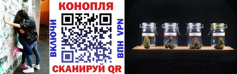 Бошки марихуана MAZAR  Майкоп 
